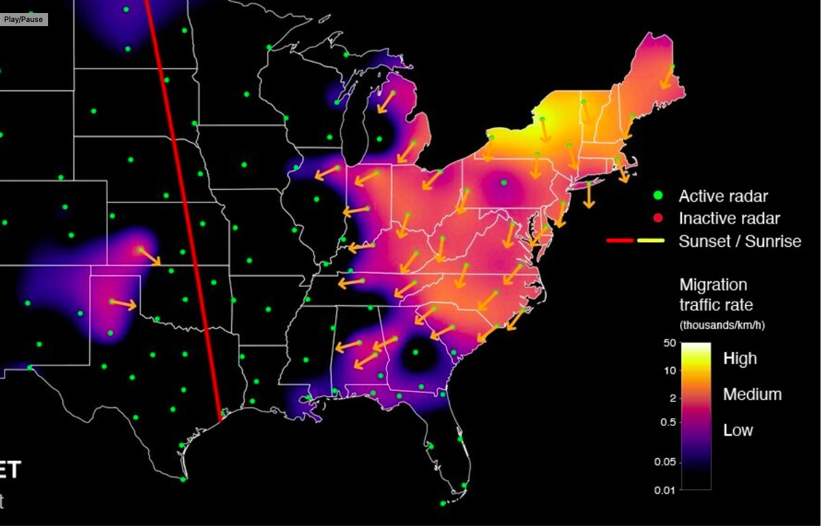 Chandler_Pond's tweet photo. Big #birdwatching #Migration this weekend!
https://t.co/d3v2GA3atR https://t.co/qR5qJoENbX