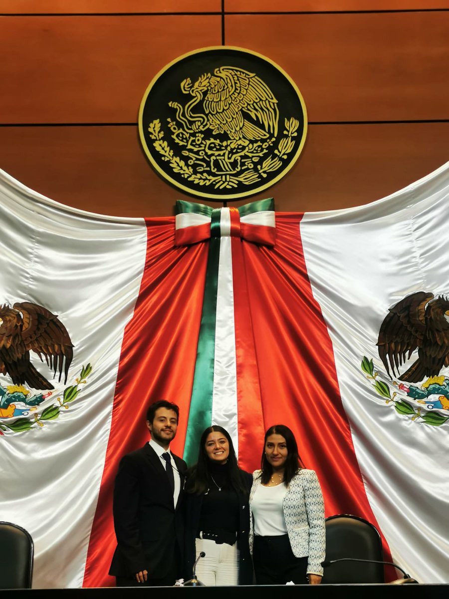 ThePelosNecios's tweet image. #OrgulloMAPP @CIDEMAPP