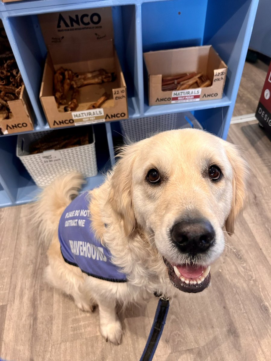 Thank you to the lovely lady I met in #Dundee who kindly gifted me pocket money. Veteran took me to the #doggie tuck shop and let me browse and choose my own treats! Yum yums!