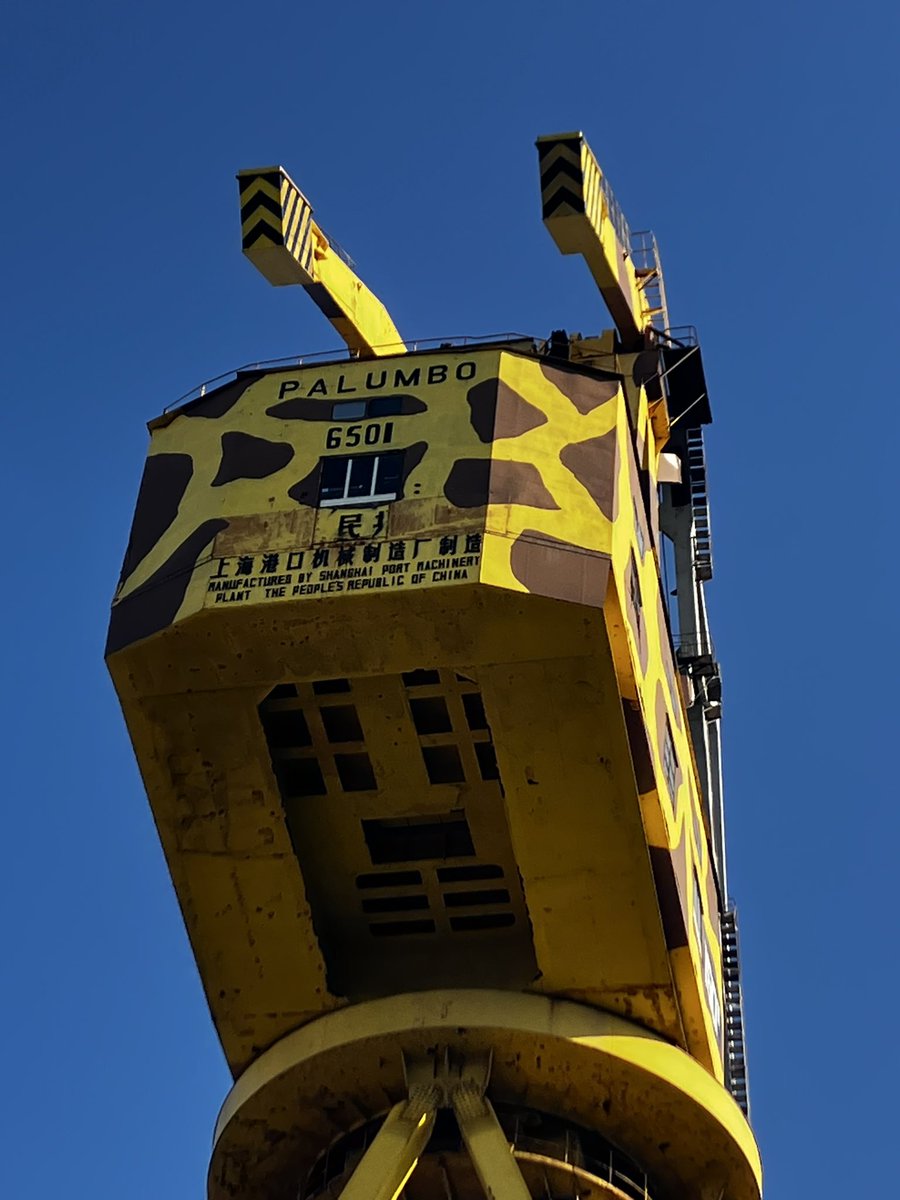 The giraffe’s bottom #Valletta #Palumbo shipyards