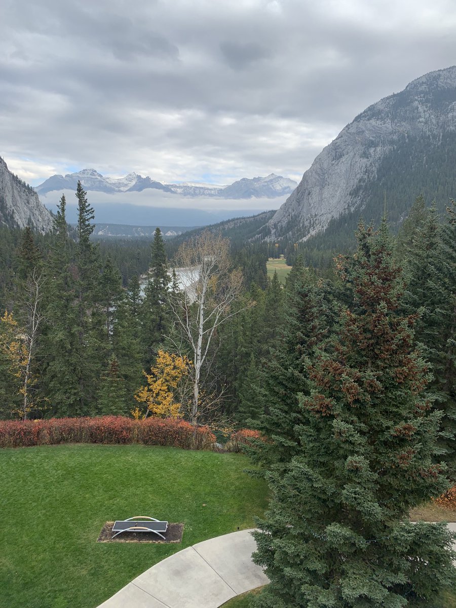 Chris Smeaton tweet media