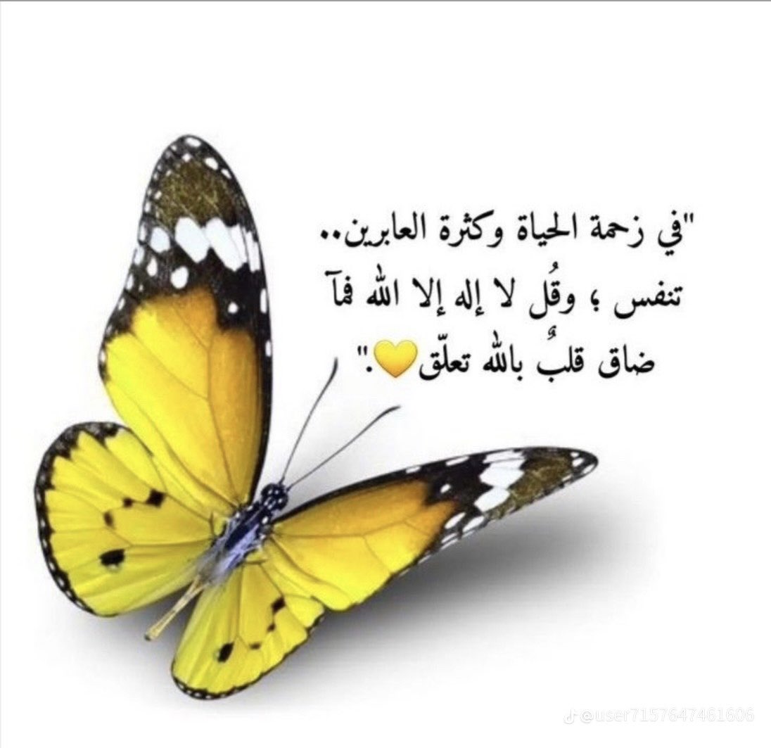 bewithallah123's tweet photo. @3eshahbaj https://t.co/EuRBapU0Cl