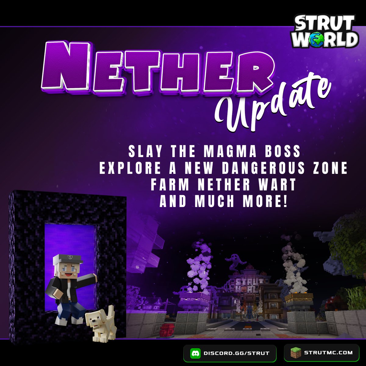 STRUT WORLD tweet media