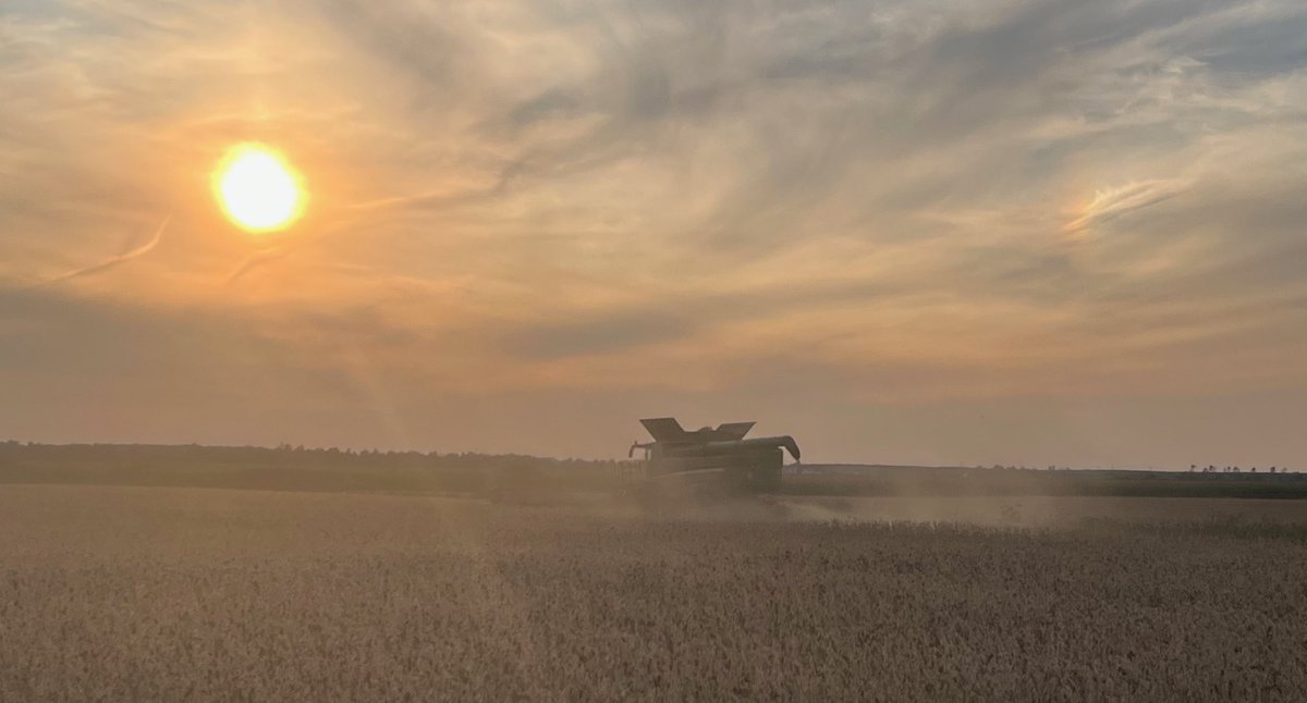 legaultkaitlyn's tweet photo. @DEKALB_Canada #harvest23 DKB 11-84 https://t.co/VPCDiVMUrh