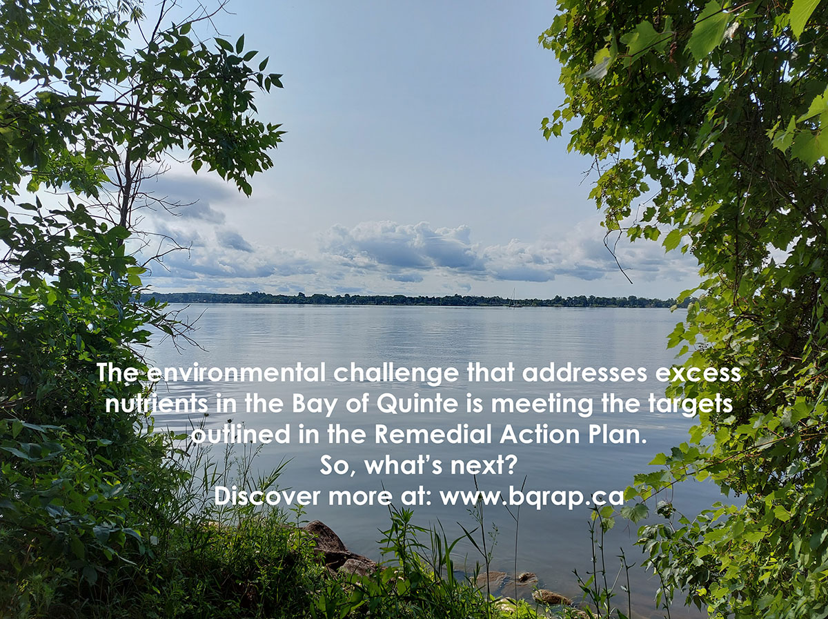 Bay of Quinte RAP tweet media