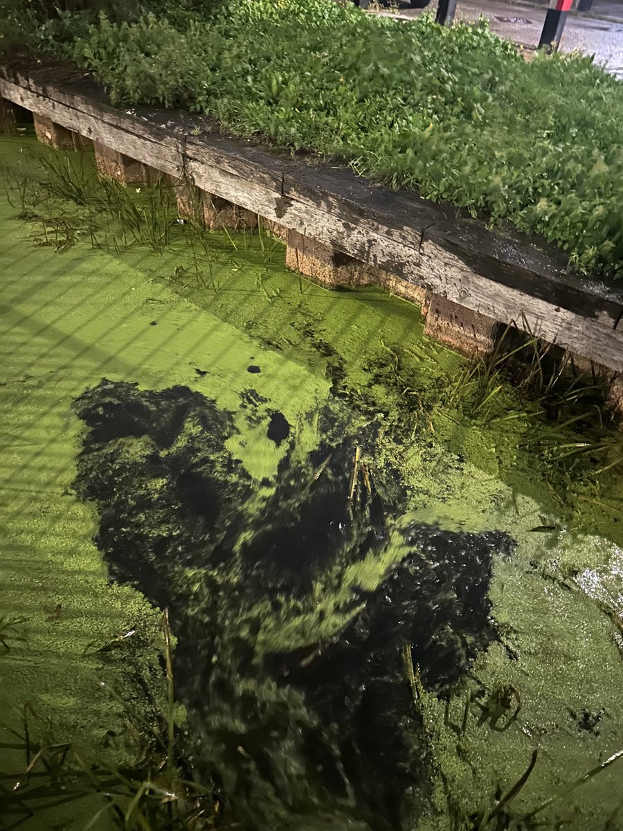 Parked my car en route to the England Australia game at Wembley and I’ve just walked neck high into a canal or a pond. Thought it was grass. Pity the people sitting next to me.