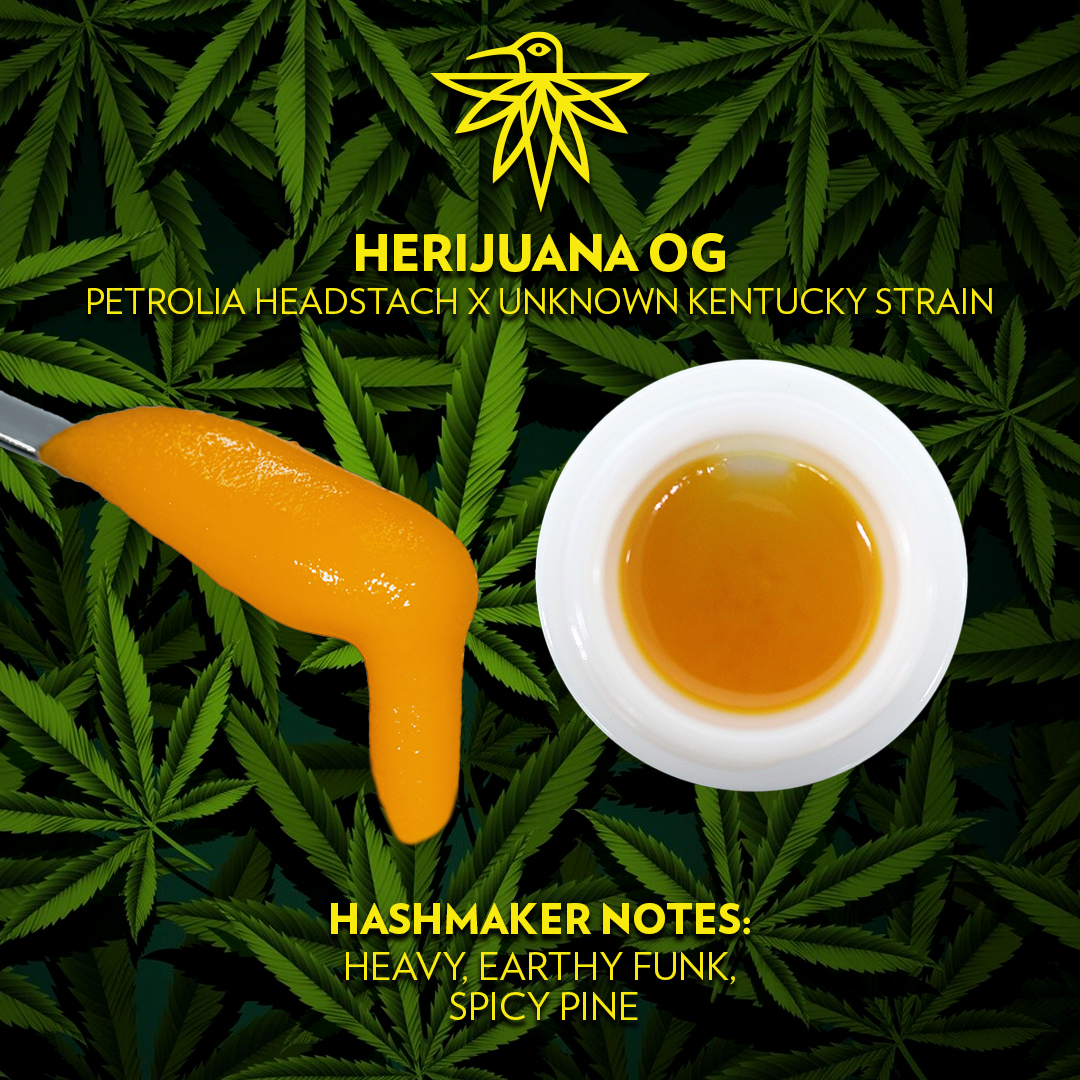 harmonyextracts's tweet photo. When life hands you Herijuana OJ, embrace the heavy, earthy funk and a burst of spicy pine goodness. It's like a natural masterpiece in every hit. π³π¨ #CannabisCommunity #FireInFireOut #QualityOverQuantity #ColoradoProud #Extracts #GetHarmonized #LiveBadder https://t.co/bIzV9xFfgZ