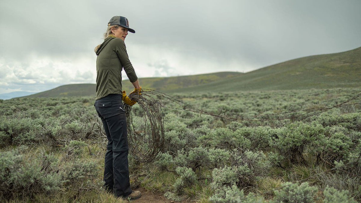 Watch a new film from our friends at Savage Arms on stewardship, public lands, and BHA's own Britt Parker! loom.ly/QKntzaM