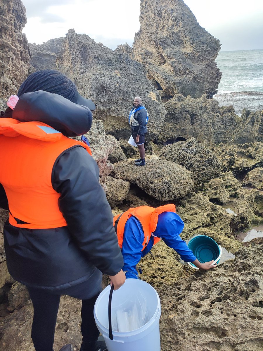 IMIsEE Project (@imiseeproject) on Twitter photo A beautiful day out in the field for the <a href="/ImiseeProject/">IMIsEE Project</a> from <a href="/NRF_SAIAB/">SAIAB</a>
Our mission for the day was: Mussel Collection (Perna perna).
<a href="/francesca_porri/">Francesca Porri_mare</a> <a href="/nobuhle_mpanza/">Nobuhle P. Mpanza</a> <a href="/JB_thescientist/">Jabulani ndaba</a> <a href="/Bongacc/">Nokubonga Mbandzi-Phorego</a> <a href="/NRF_News/">National Research Foundation of South Africa</a> A beautiful day out in the field for the <a href="/ImiseeProject/">IMIsEE Project</a> from <a href="/NRF_SAIAB/">SAIAB</a>
Our mission for the day was: Mussel Collection (Perna perna).
<a href="/francesca_porri/">Francesca Porri_mare</a> <a href="/nobuhle_mpanza/">Nobuhle P. Mpanza</a> <a href="/JB_thescientist/">Jabulani ndaba</a> <a href="/Bongacc/">Nokubonga Mbandzi-Phorego</a> <a href="/NRF_News/">National Research Foundation of South Africa</a>