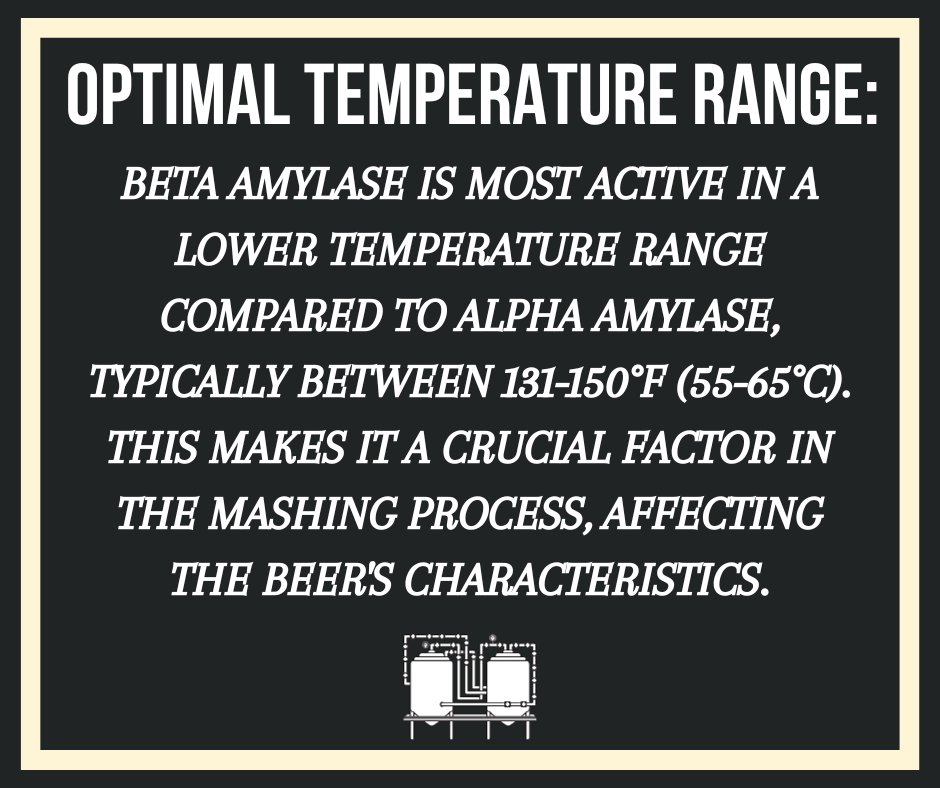 🌽🍻 Explore Beta Amylase: the secret to a crisp, dry brew with more flavor! It's the brewer's best friend, creating highly fermentable sugars for a clean finish. Discover the magic of brewing! 🍺🔮 #BetaAmylase #CraftBeer #BrewingMagic