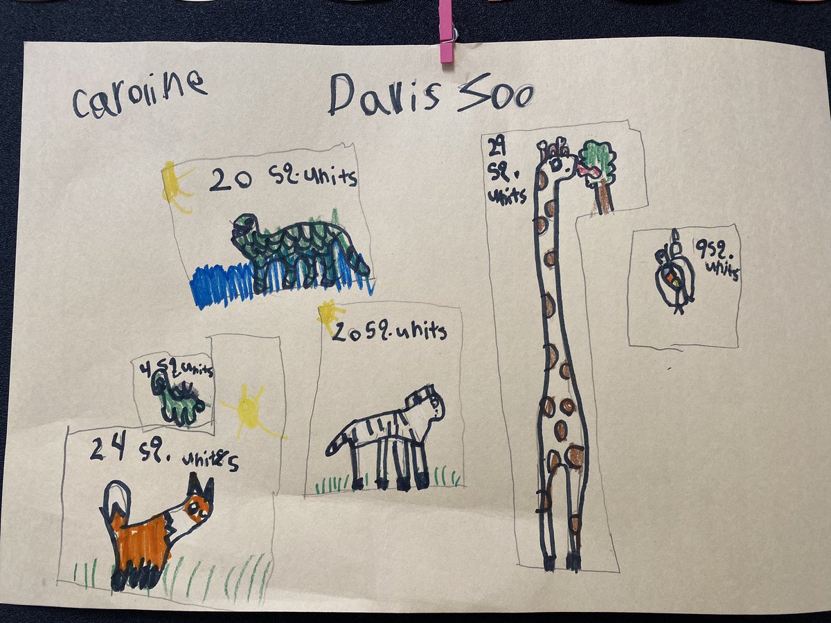 Applied the concept of area to the real world by creating enclosures for zoo animals 🐒🐘🦘