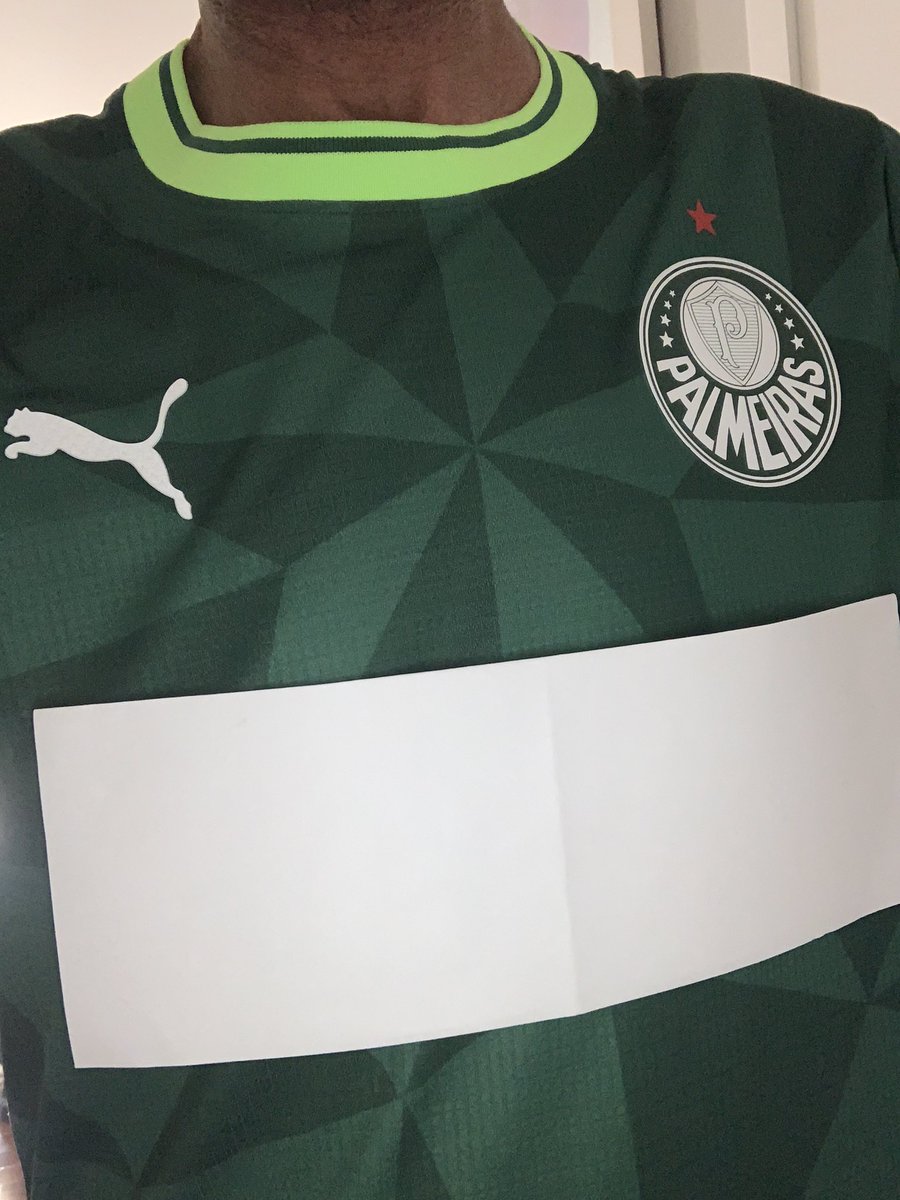 CarlosR47489218's tweet photo. @Palmeiras #ForaLeila #Foracrefisa 🤮🤮🤮🤮🤮🤮 https://t.co/gktWt7rorE