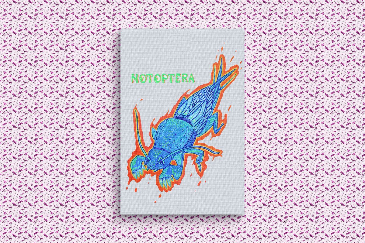 filozoofia's tweet photo. Sé que ya estamos a mitad de mes pero quería hacer un #Inktober diferente. Así que aquí van mis dos primeras entradas para el #Insectober con el que iré por todos los órdenes de insectos. Ambos con marcadores acrílicos.
1. Archaeognatha
2. Notoptera https://t.co/o21Of0QLLD