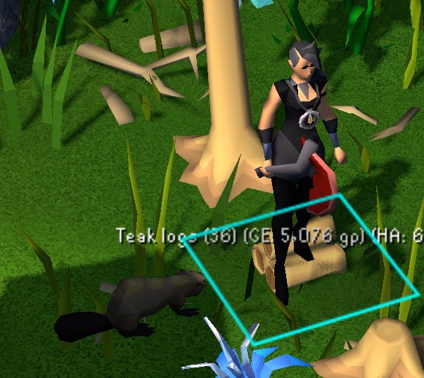 phoenixrisingrs's tweet photo. Congratz to Aly for getting the beaver https://t.co/Al3J80vrzD