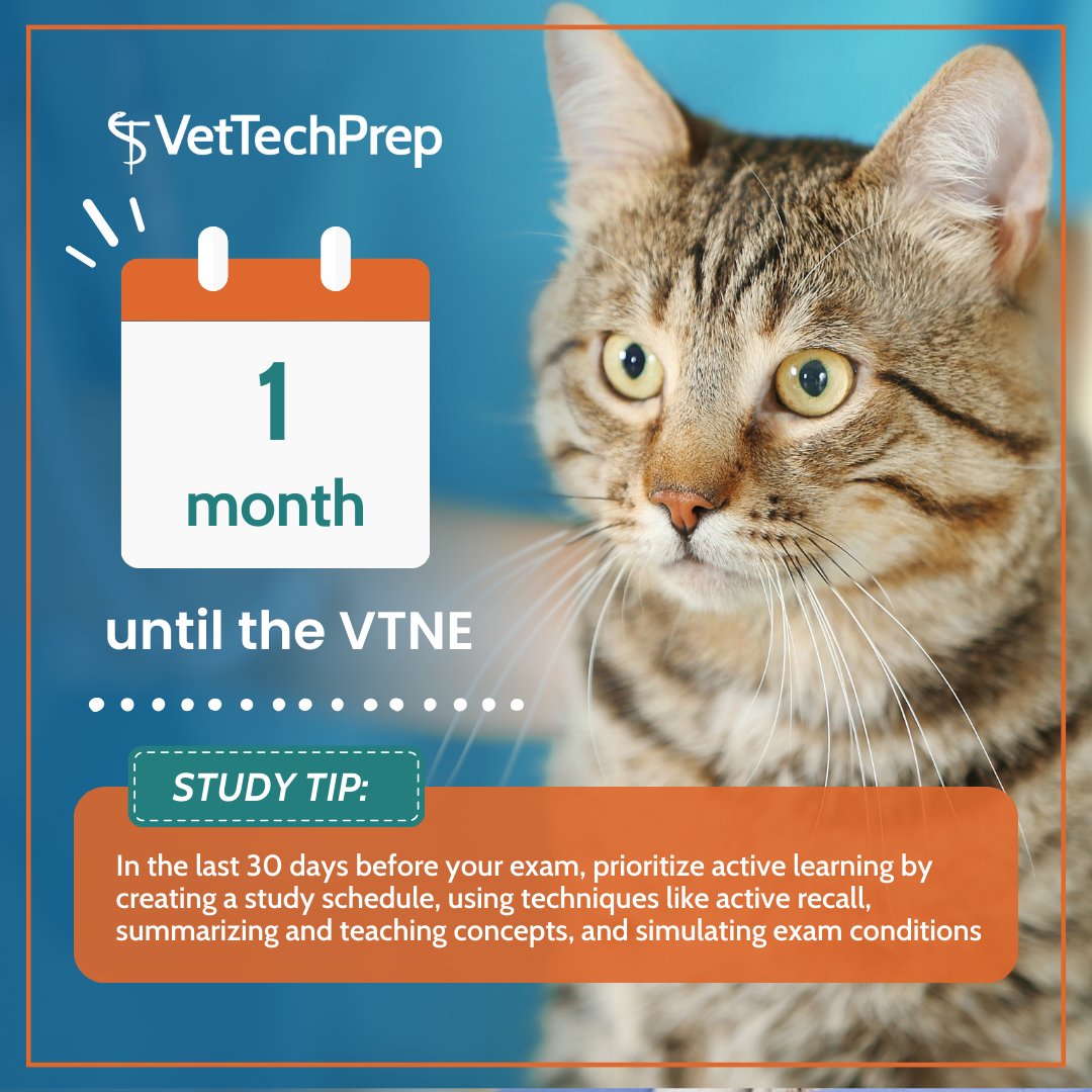 VetTechPrep's tweet photo. We are just 1 month away from the VTNE which starts on November 15th!  Join us for our VTNE Trivia night on October 18th at 7:30pm CT for a chance to test your VTNE knowledge in the most fun way! Link in bio. https://t.co/kKEmVBLqTq
