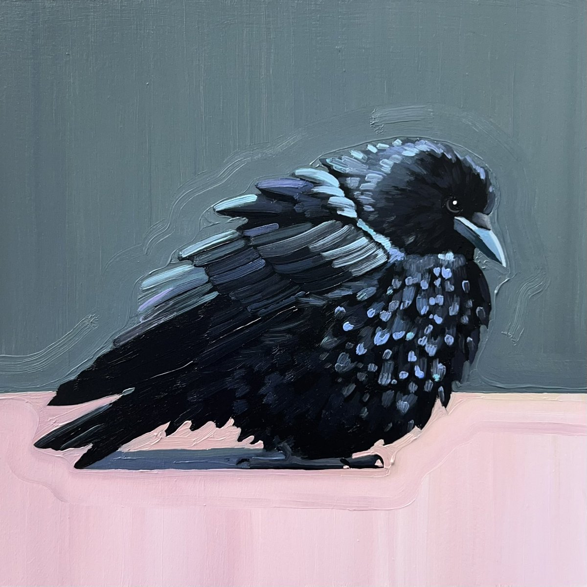 ruffled feathers