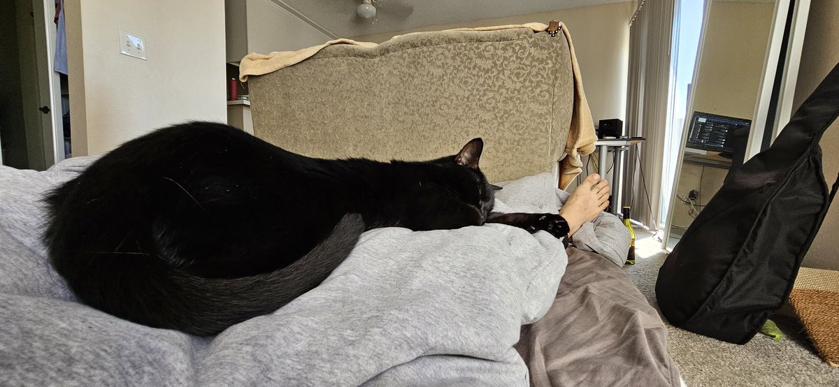 Getting out of bed has never been an option.