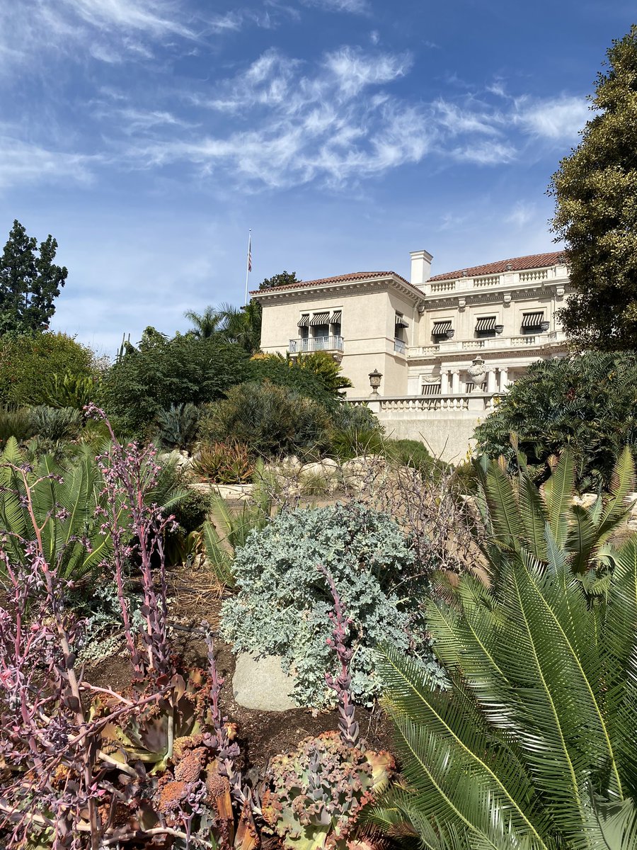 An-Min Wu tweet media