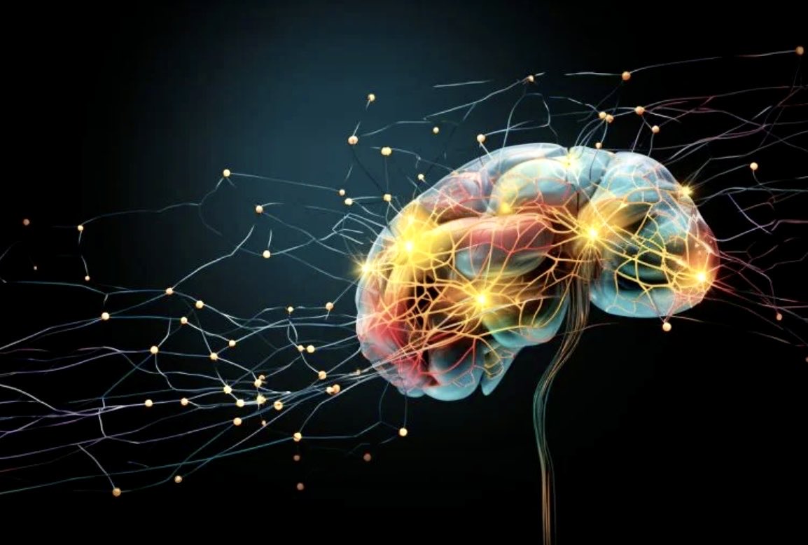 🧠 Rewiring the #Brain: The #Neural Code of #Traumatic #Memories By NINS (Japan) 👉neurosciencenews.com/trauma-brain-c… #Traumatic #Memories #NeuralNetworks #Neuroscience #Psychology #neuromorphic #ML #AI @mvollmer1 @IanLJones98 @SpirosMargaris @jblefevre60 @Nicochan33 @BetaMoroney…