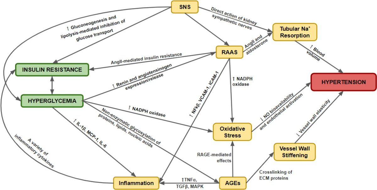 Pediatric Nephrology tweet media