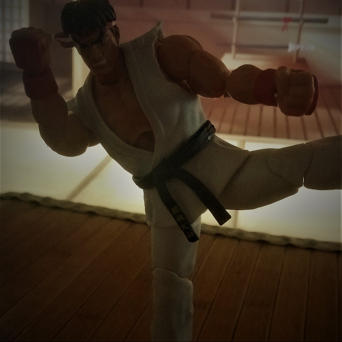 #StreetFighter #ryu #toy #toys #toyphotography #toyphotofrenchforce #videogames 

#octoyber 
Day 13
#pixelpower