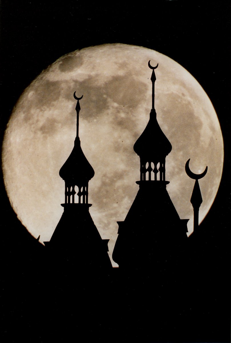 An Eerie Evening at the Tampa Bay Hotel returns two weeks from today! Learn more and purchase tickets to our annual Victorian-themed Halloween event here: plantmuseum.com/events/eerie-e….