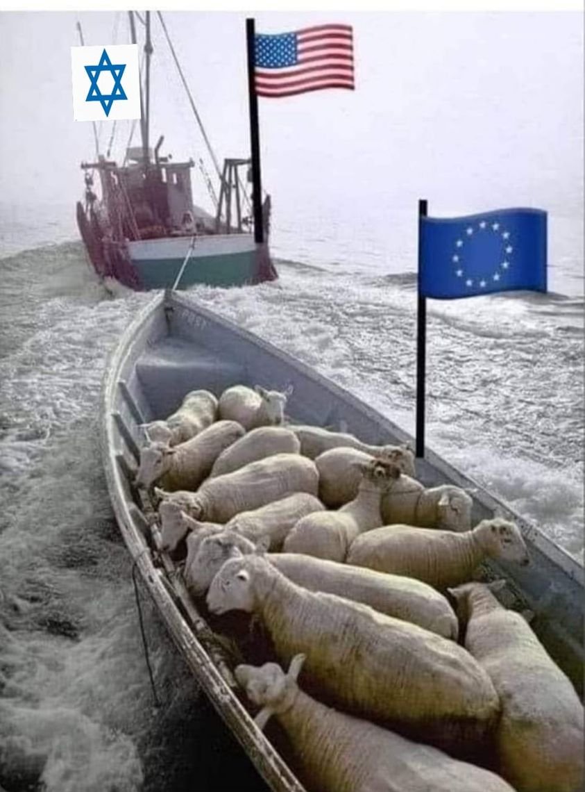 Pierre Lescaudron (@pedrogo24233917) on Twitter photo 