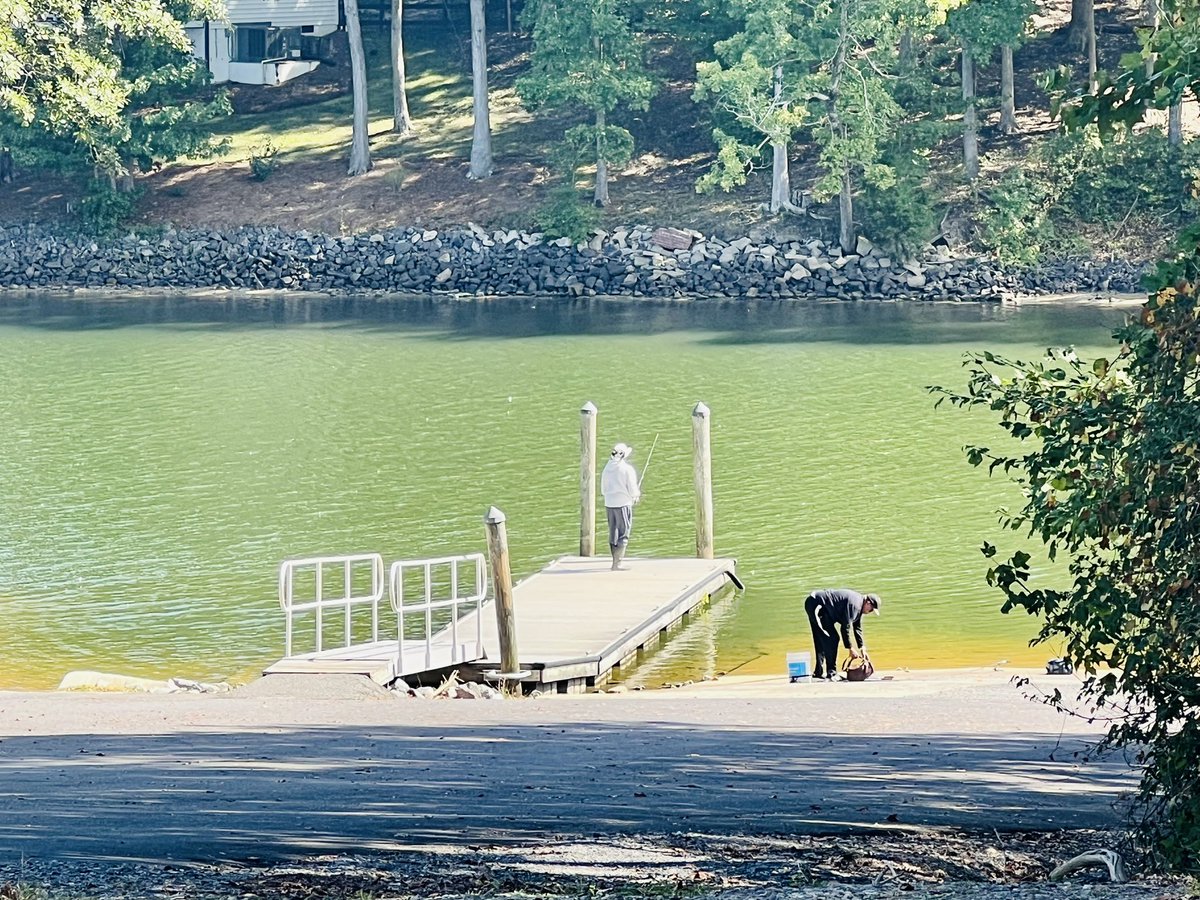 York 1 Jobs tweet media