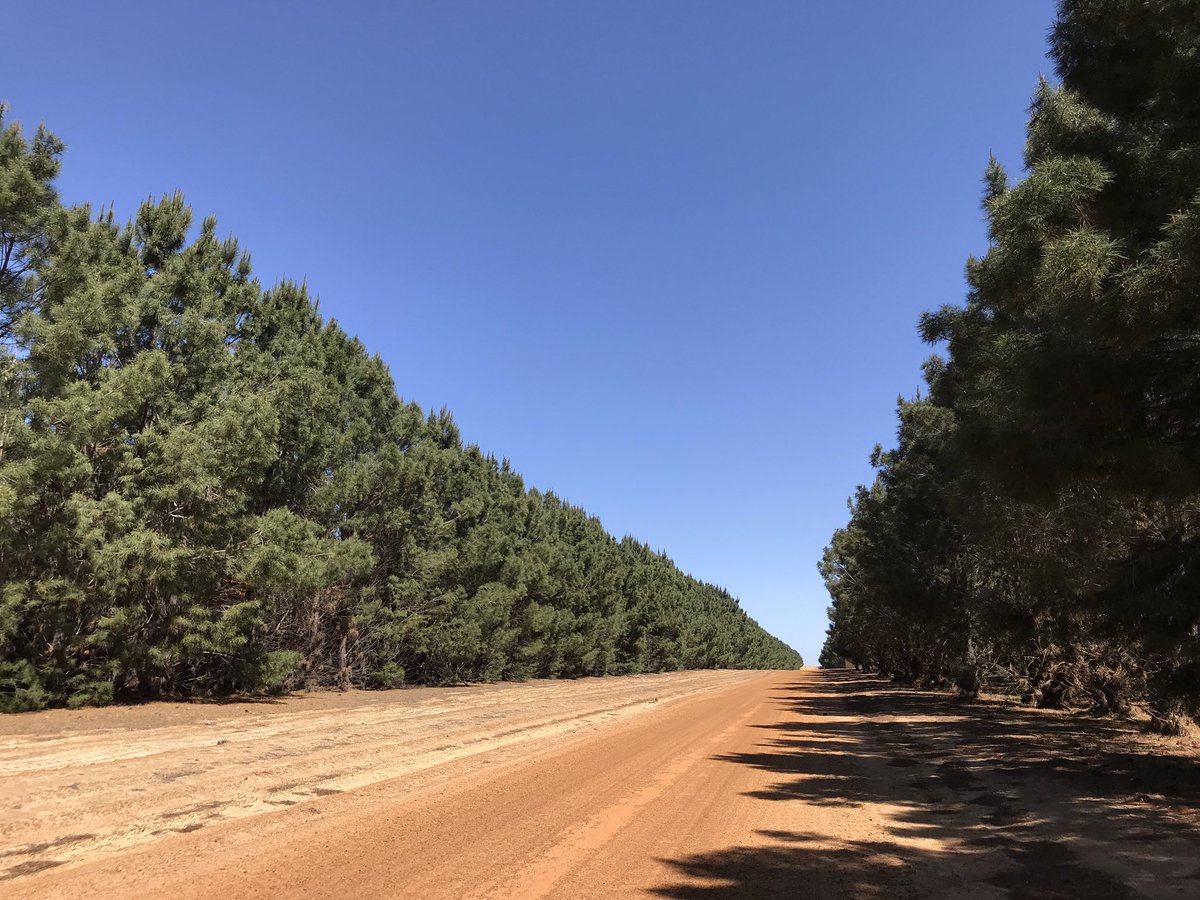 TreeMicrobiome tweet media