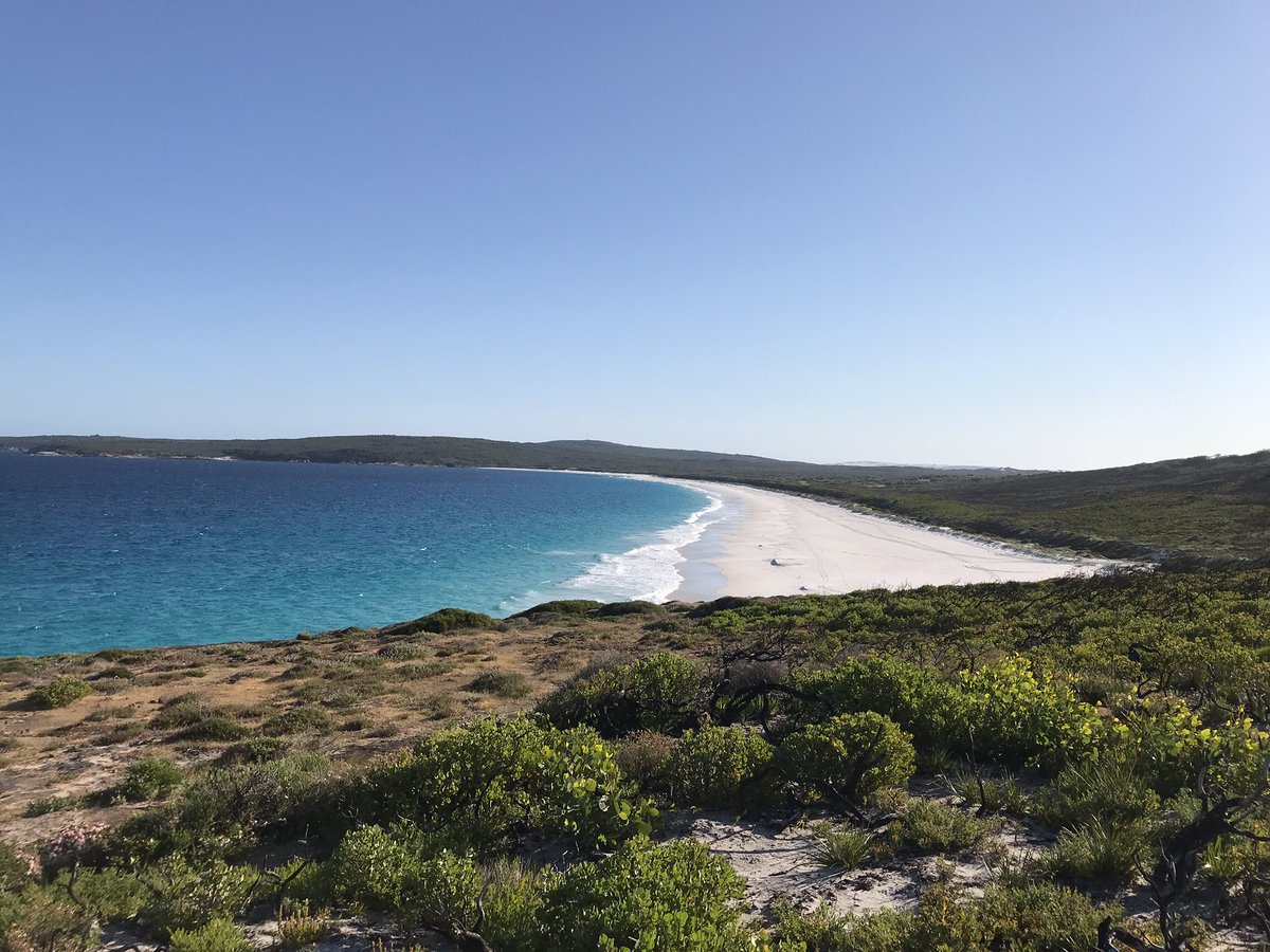 But… it turned out they weren’t Pinus radiata.  No sample collected.

Only thing left to do, go to the beach. 

Western Australia is incredible