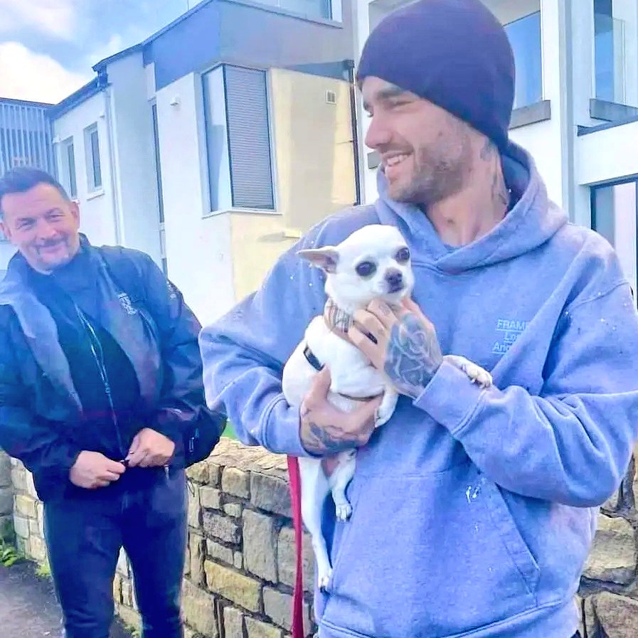 paynelpfan's tweet photo. Liam Payne ’s true smile warms my heart! He looks so happy, healthier, and young!! With Paul in the background! My heart is full ❤️ https://t.co/YnyyUaB6se