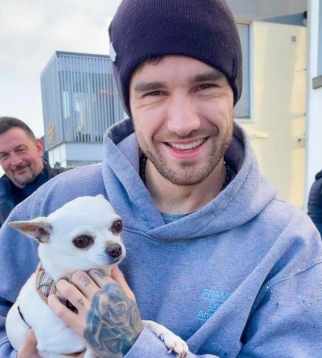 paynelpfan's tweet photo. Liam Payne ’s true smile warms my heart! He looks so happy, healthier, and young!! With Paul in the background! My heart is full ❤️ https://t.co/YnyyUaB6se