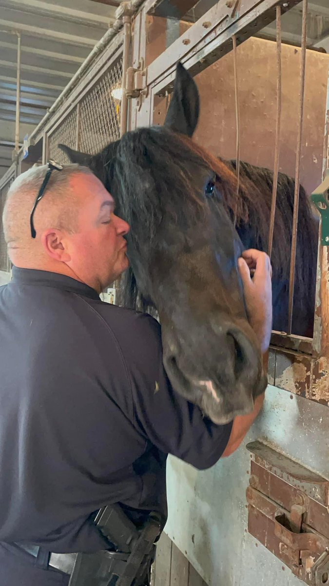 Our Cleveland Police Mounted Unit is always a fun place to visit. Recently, a local journalist wanted to do a story & was lucky enough to get a special tour led by our traffic Commissioner Holmes! Thank you to our dedicated mounted unit officers who serve our community