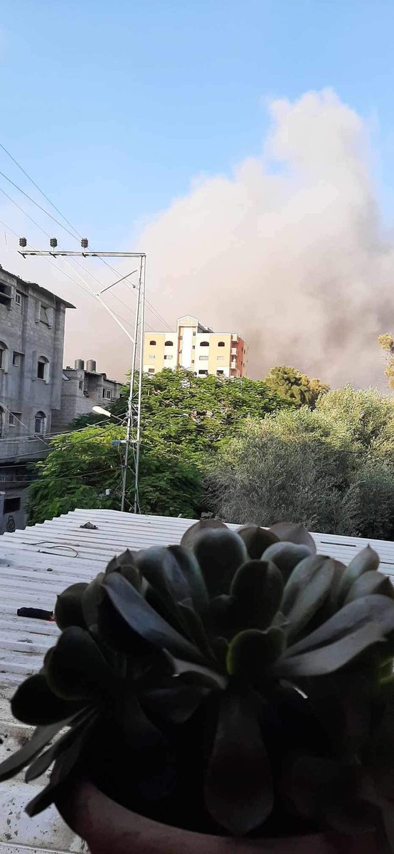 danielmkovalik's tweet photo. I just learned that my friend in Gaza, Heba Zagout, a great artist, was killed by Israel.  Her last words to me, in a text, were:  “We are sitting with the children. There is bombing. I feel afraid.”  Her words were accompanied by these photos https://t.co/CAwznjeg8g