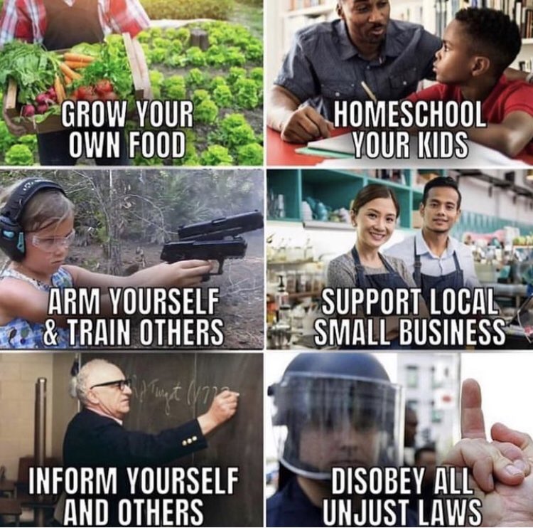 Pequeno Libertário Soberano tweet media