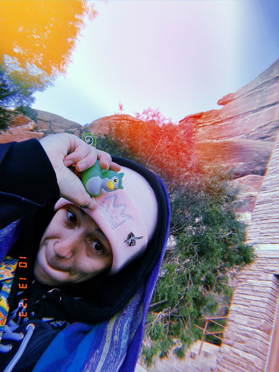 LoDo 🏔 tweet media