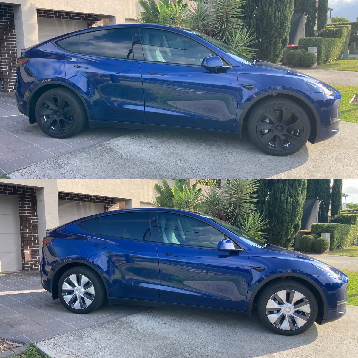 cryptoshazzy.eth tweet media