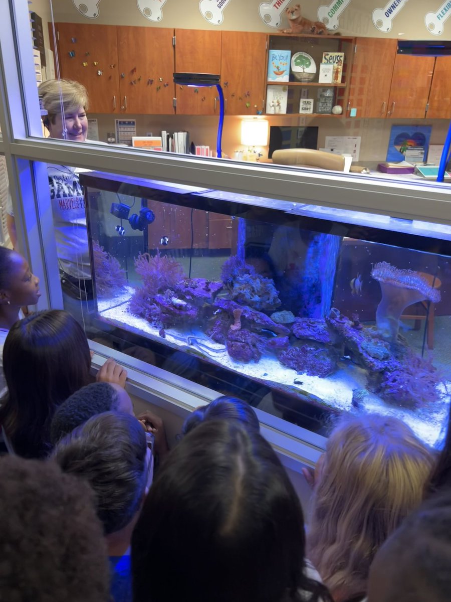 Lauren Russell tweet media