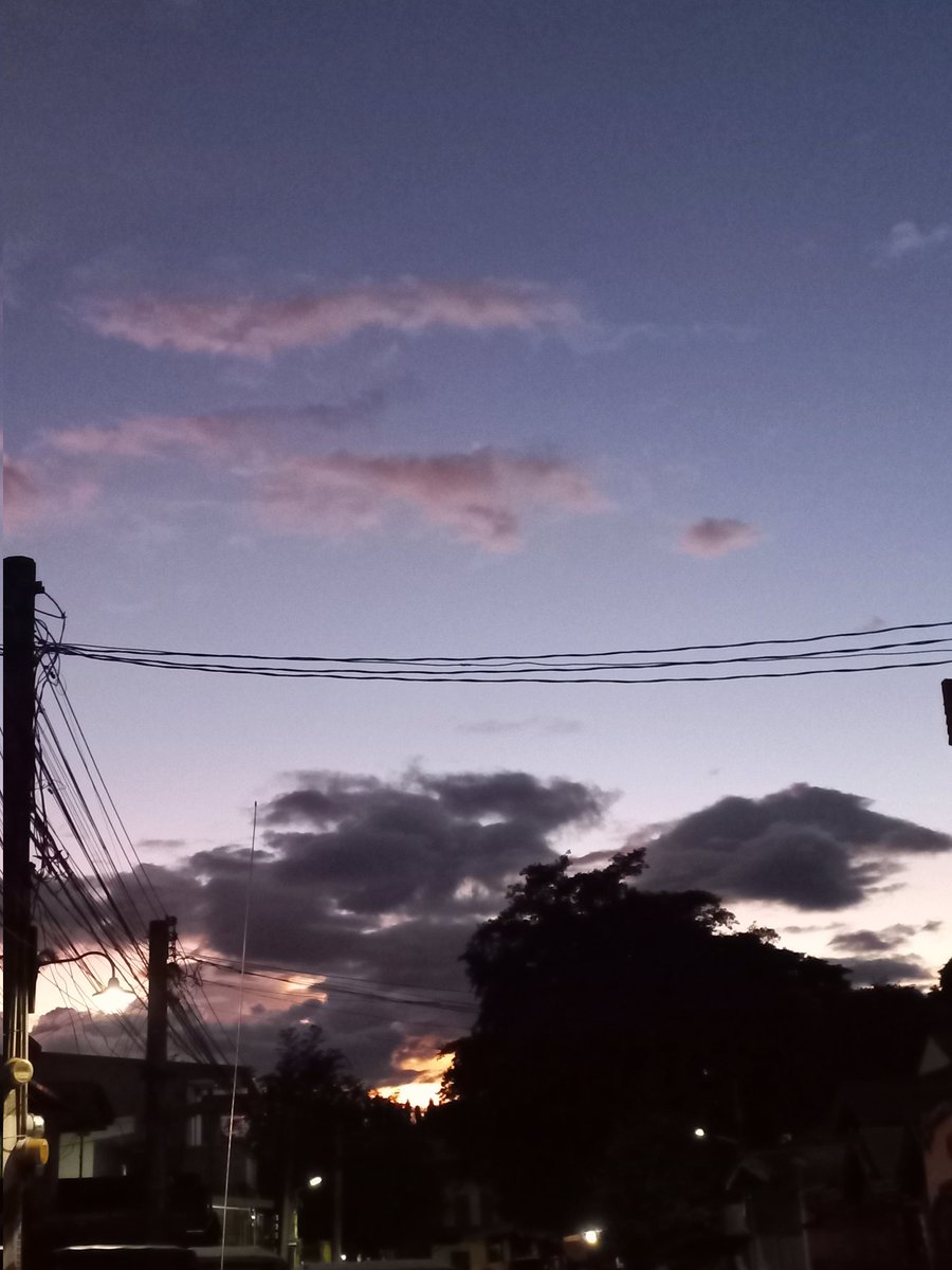 clrncgm's tweet photo. Beaut.💜 https://t.co/2jKKiMeRDu