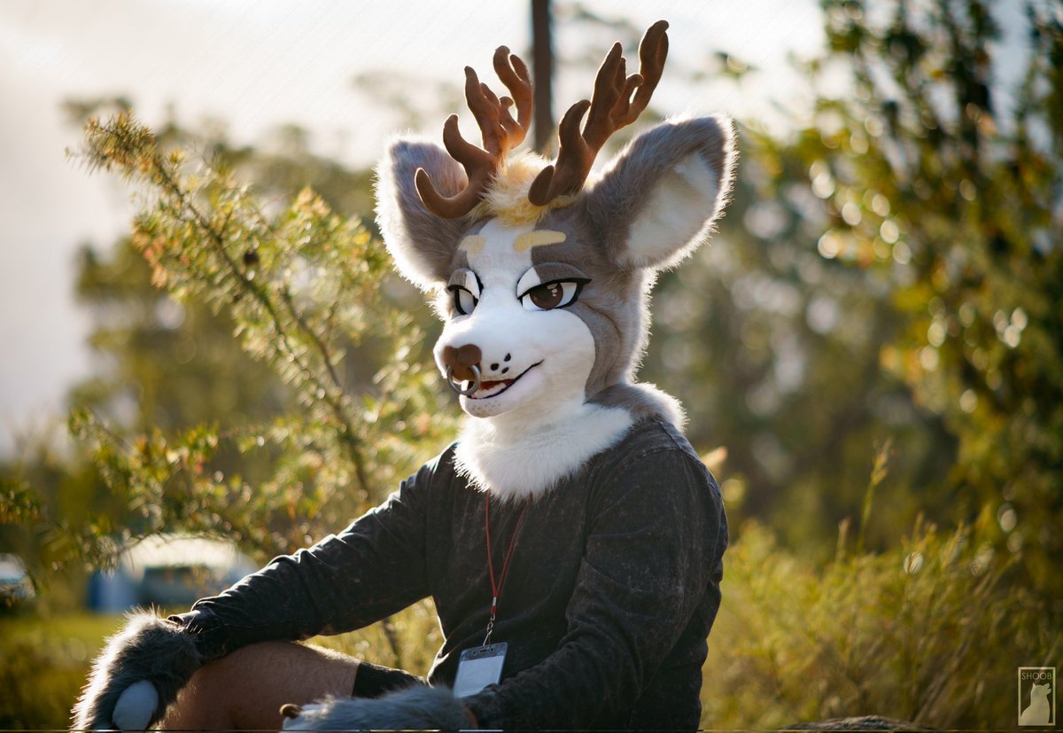 Wanted to share this gorgeous shot of @PackTheDeer ✨ Photography by @shoobphotos #fursuit #photography #furry #deerfursuit