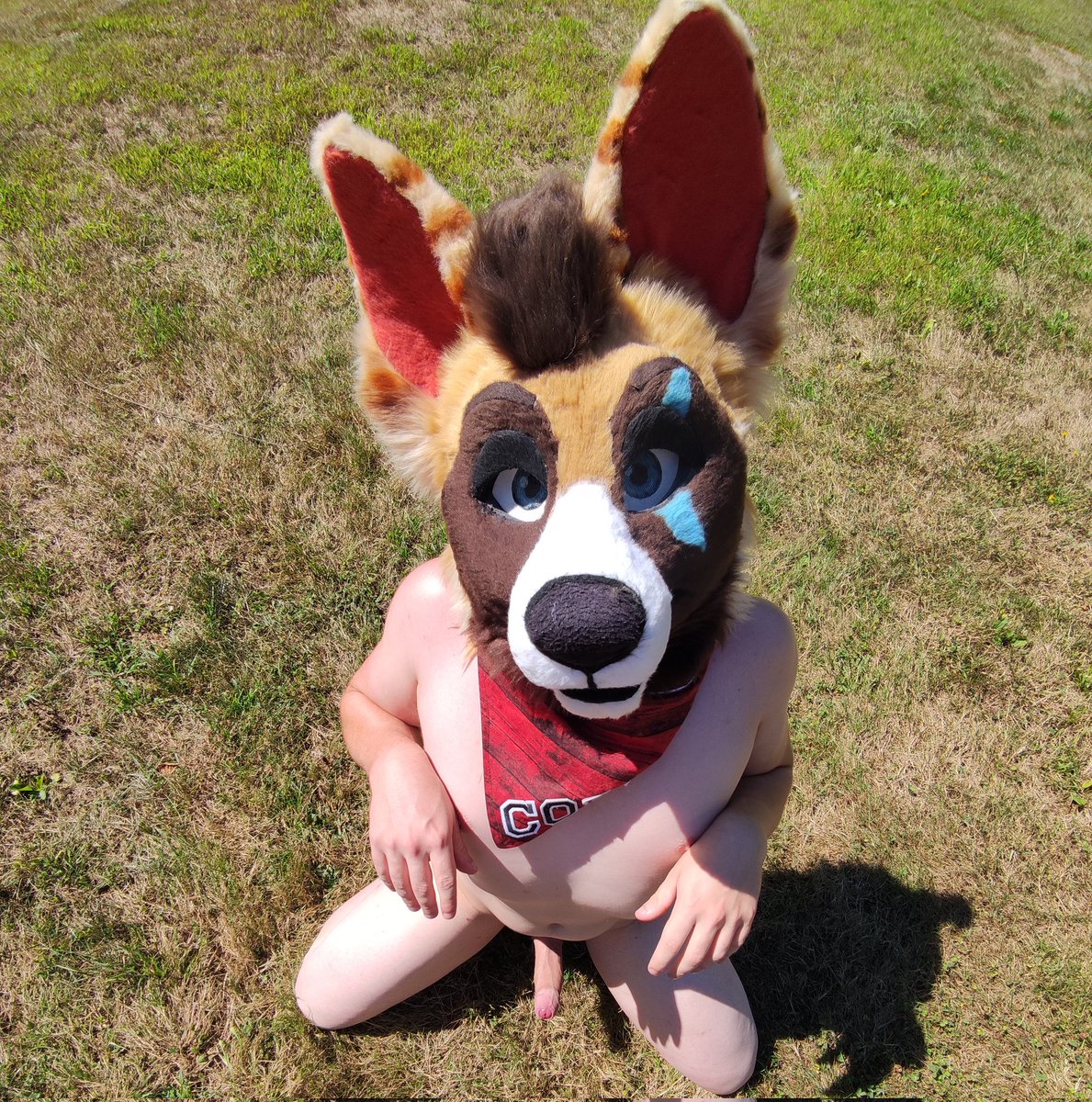 The Bad One tweet media