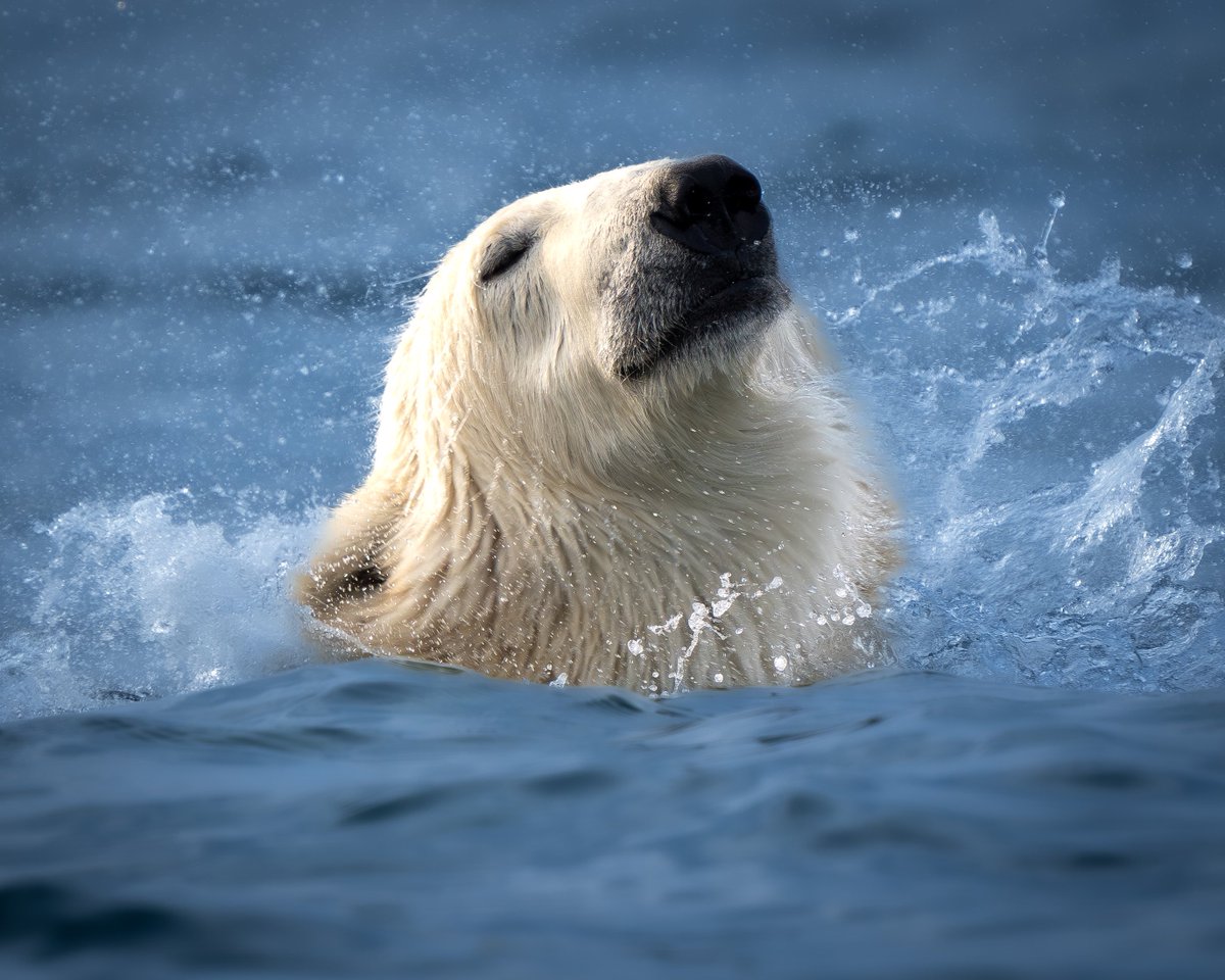 Mickey Grebe tweet media