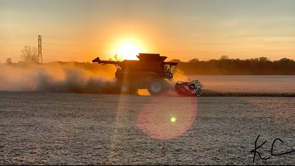 kelli chalfant tweet media