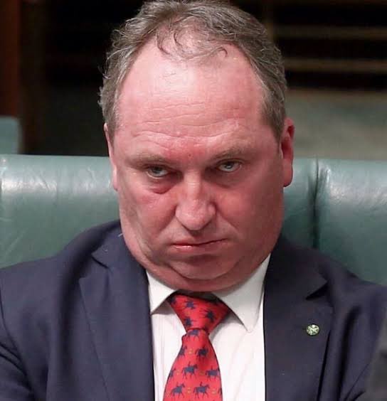 CalvnsharpieBoy's tweet image. Who wants this LNP government in power again  from drunks to killers of our vulnerable plus leaving a a trillion $$ debt that shows nothing but murder and corruption and rapist protectors .... #RobodebtRC #GladysBerejiklian #WhoPaidPorter #ScottyFromMarketing #VoteYES23Australia