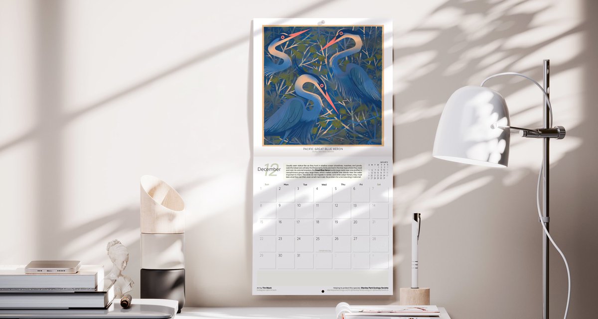 Elaine Chen ☘️ tweet media