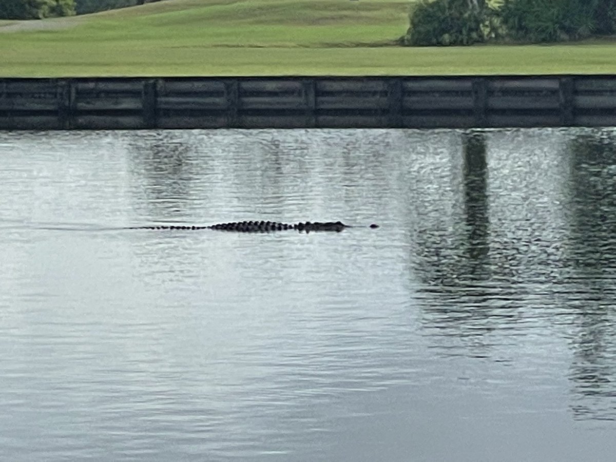 Spectacular morning at Myakka Pines in Englewood, FL