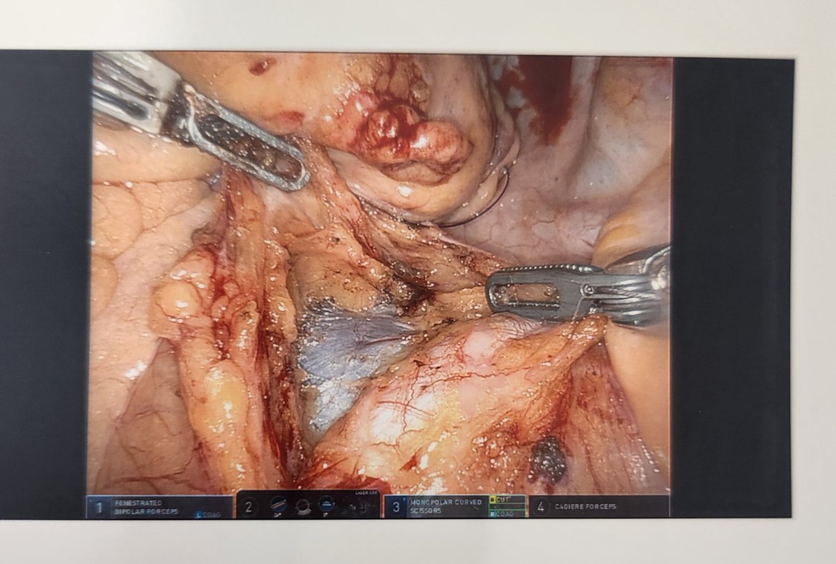 Brian J. Flynn, M.D. tweet media