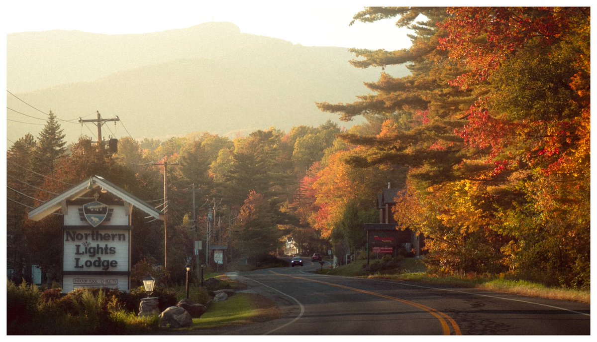 BobbySolace's tweet image. Hopesfall