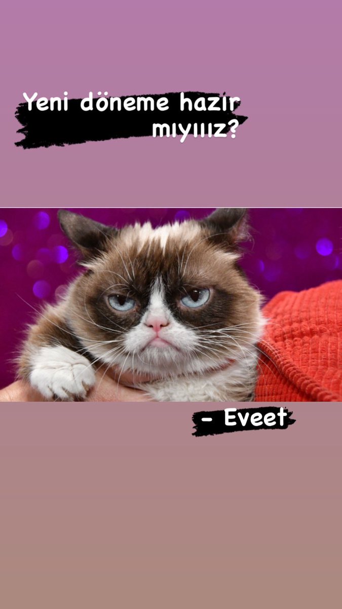 İlk eşleşmeler gerçekleşti. Başvurular geldikçe eşleşmeler devam edecek. Başvurularınızı hala bekliyoruz. Bu dönem için son başvuru tarihimiz 1 Kasım. #matematikdayanışma