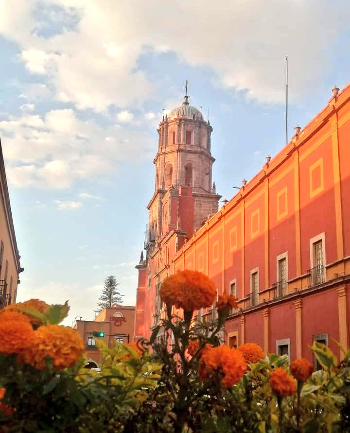 Connie_Resendiz's tweet photo. Los colores del otoño en nuestra ciudad.
Amo a Querétaro 💙 https://t.co/MeF6kgZTuF